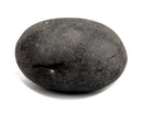 Shaligram Shila - Symbol of Maha Vishnu