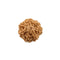 Seven Mukhi Rudraksha