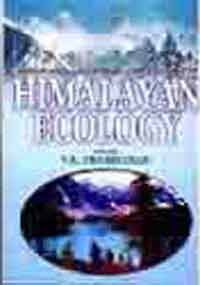 The Philosophy of the Vedanta: A Modern Scientific Perspective (Sri Garib Dass Oriental Series) [Hardcover] Kaushal, Radhey Shyam