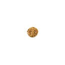 9 Mukhi Rudraksha Bead