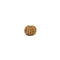 Rudraksha Bead 10 Mukhi