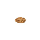 One Faced Rudraksha Bead