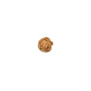 One Faced Rudraksha Bead