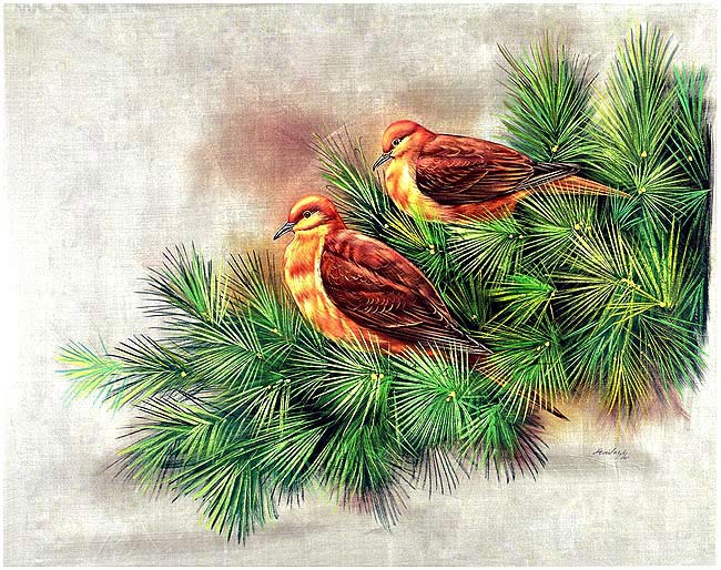 Amazing Birds - Handmade Silk Painting