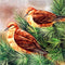 Amazing Birds - Handmade Silk Painting